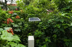 The Singapore Green Plan 2030 launched in 2021 maps out the national greening commitment and this will impact the way businesses are managed, including an energy reset, a greener built environment, carbon and waste reduction, sustainable living, and the transition to a green economy.