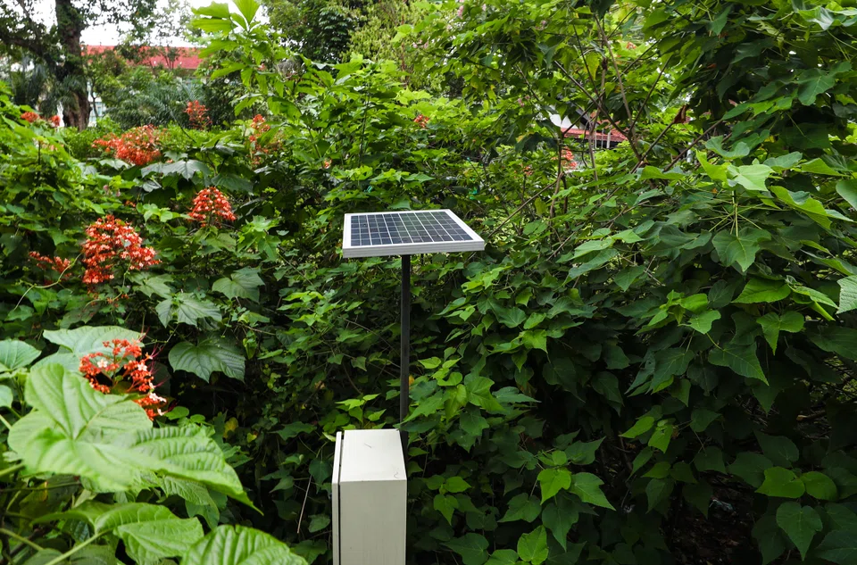 The Singapore Green Plan 2030 launched in 2021 maps out the national greening commitment and this will impact the way businesses are managed, including an energy reset, a greener built environment, carbon and waste reduction, sustainable living, and the transition to a green economy.