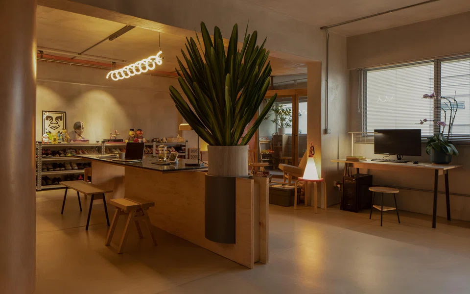 The 'dining island' features a large potted plant at one end of the 3m dining table.