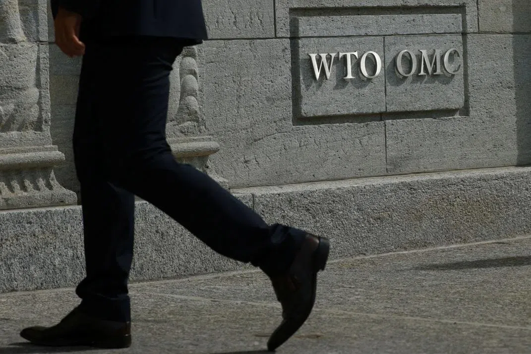Since 1998, WTO members have agreed not to impose customs duties on electronic transmissions – the bits and bytes of the digital economy.