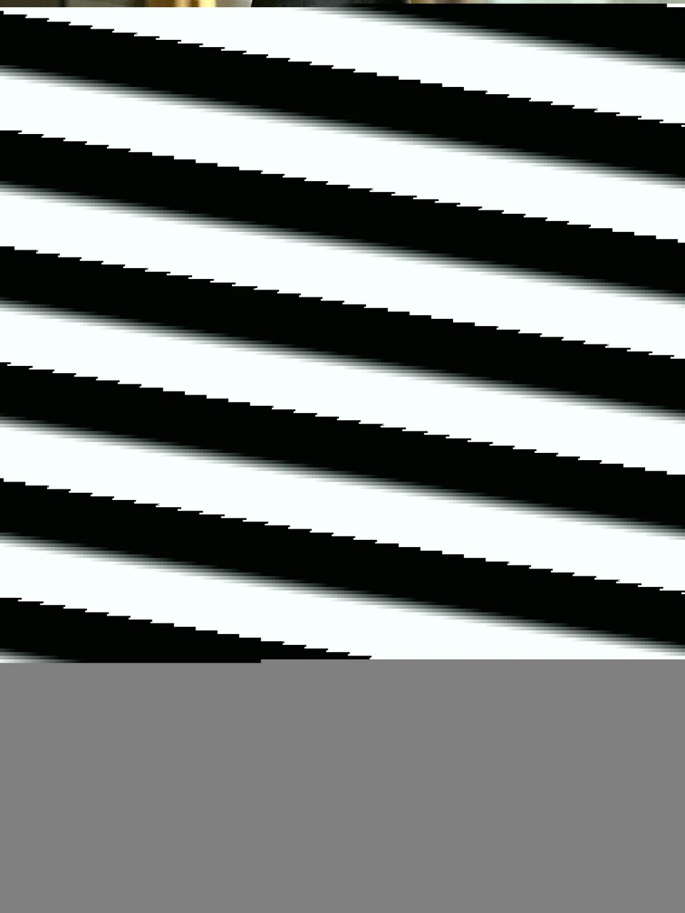 Denoted by two "Platina" words stamped on the bottle, this is the most exquisite Masuizumi sake.