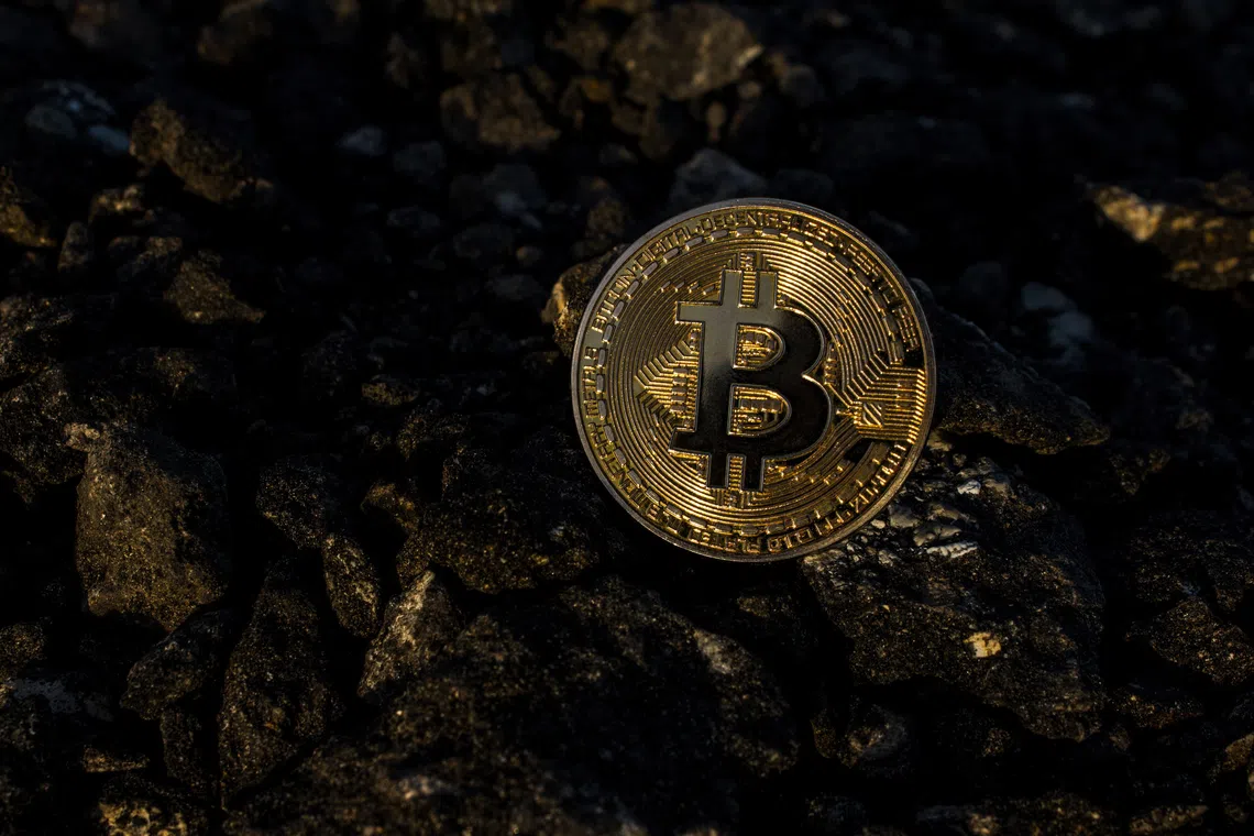 There are calls for the crypto industry to be banned altogether, while others suggest that turbulence is merely the growth pains of a new, vibrant industry which regulators should not stifle at birth.