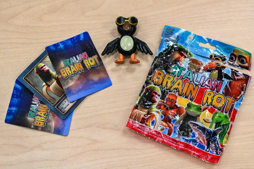 A small bag of novelty merchandise for the online phenomenon called Italian Brainrot, containing collectable cards and a small figure of Frulli Frulla (centre), purchased from a shop in Tokyo. 