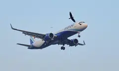 IndiGo, which runs a “lean, high-utilisation model” has been hit the hardest by new pilot rules that bar airlines from substituting weekly rest with leave, a note by analysts from Jefferies says.