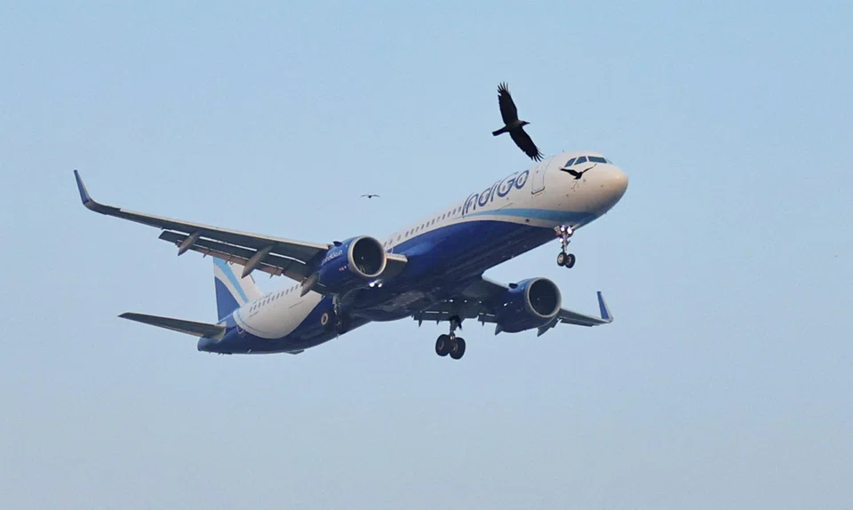 IndiGo, which runs a “lean, high-utilisation model” has been hit the hardest by new pilot rules that bar airlines from substituting weekly rest with leave, a note by analysts from Jefferies says.