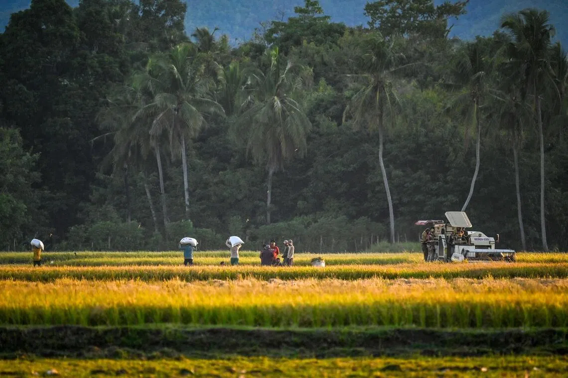 Asia-Pacific may be drawing investors with the growth of green business in the region, according to MSCI.