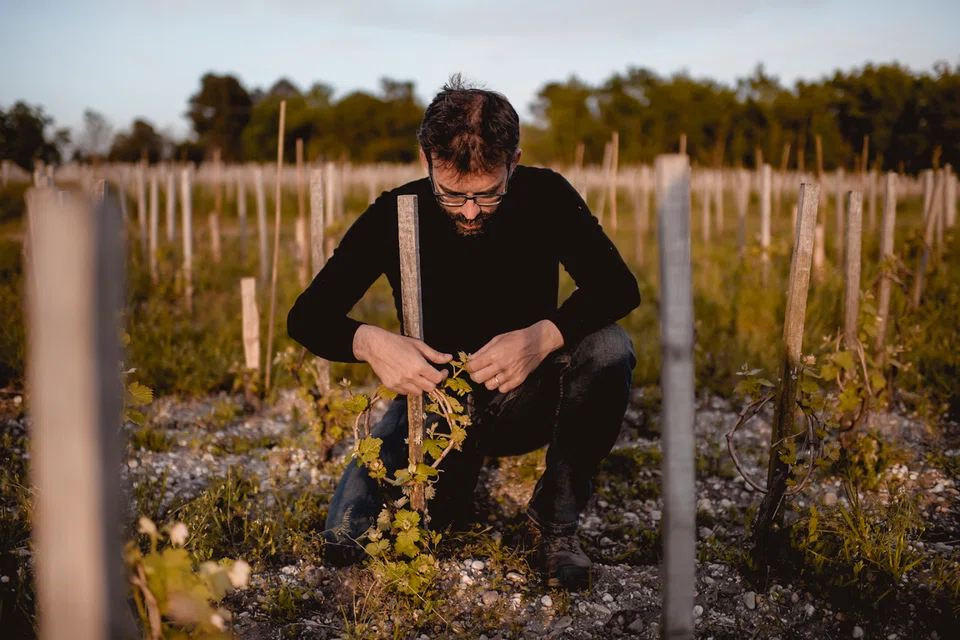 French vigneron and trained engineer Loic Pasquet, who owns Liber Pater, produces wines using old varieties and ungrafted rootstock.