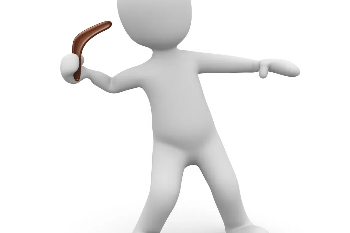 The boomerang does not just return; it returns having gathered speed and value on its journey, reminding us that in the calculus of a life well-lived, purpose is the ultimate currency.