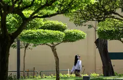 Amid wider geopolitical uncertainties, the focus on securing yields have led investors to prefer large-cap index stocks as well as fixed income or money market funds – investment products that typically do not come with an ESG label. 