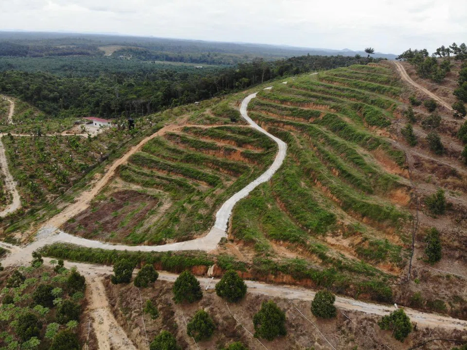 Durian plantation land with matured trees and close to main roads are the most desirable by investors and could fetch a selling price of about RM1 million an acre.