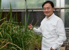 Temasek Life Sciences Laboratory has been studying solutions to decarbonise rice, says its chief executive Peter Chia.