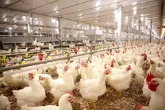 Japfa in January announced the joint privatisation offer by Santosa siblings Renaldo and Gabriella, and their cousin Rachel Anastasia Kolonas.