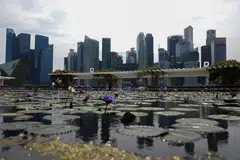 Today, one in four Singapore companies is owned by females, and the number of women-owned companies have grown by more than 120% in the last 15 years, contributing to more than 20% of the companies’ total revenues. 