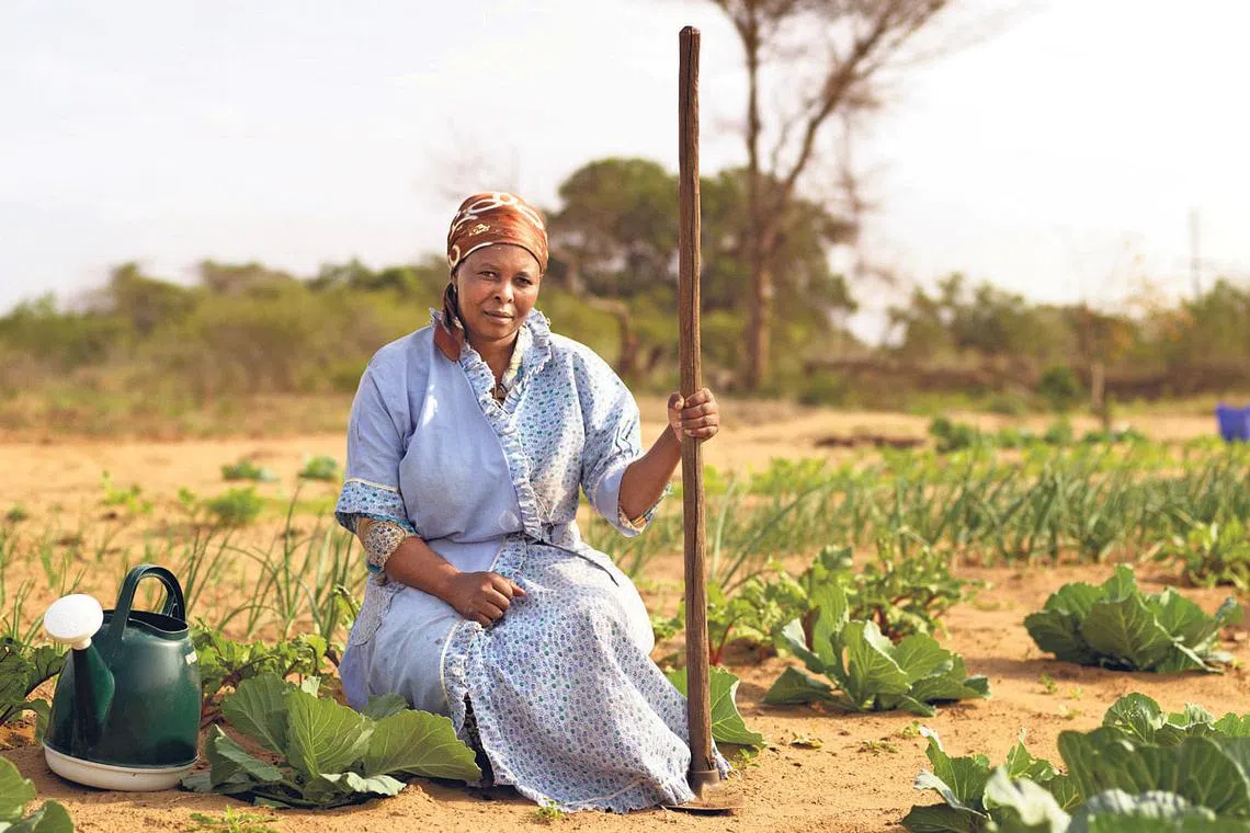 Based on figures provided by JLL Singapore on Wednesday (Jun 29), Grade A CBD office rents rose 2.7 per cent to S$10.74 per square foot (psf) per month in the latest quarter from S$10.46 in Q1 2022.n