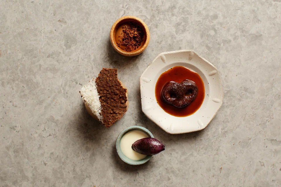 Gelatinous pig snout is sticky and chewy, paired with lentil cracker and parmesan cream.