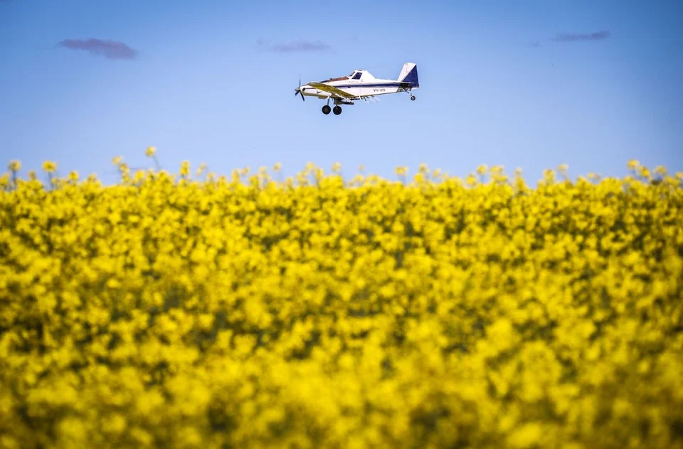 AUSTRALIAN farmers are poised for a potential "hat trick" when it comes to pulling off another bumper crop this season, with winter plantings set to reach a record, according to a Rabobank Group report.