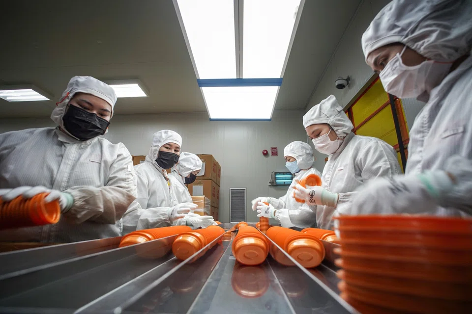 Exports are now expected to rise 6.2 per cent this year, compared with a 1 per cent rise projected in January.