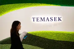 Temasek Trust receives its funding primarily from Temasek Holdings.