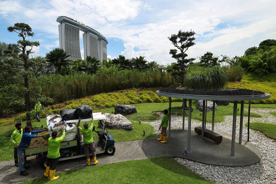 Generic photo for stories related to Singapore Green Plan 2030. The Green Plan intersects with Environmental, Social, and Governance (ESG) and seeks to tackle climate change, and positions Singapore to achieve its long-term net-zero emissions aspiration.