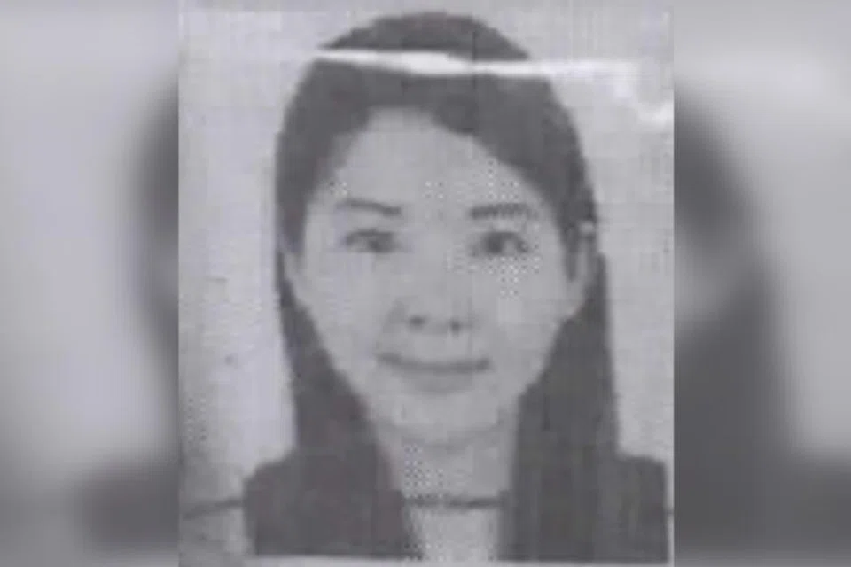 Chinese national Lin Baoying, 44, now faces 10 charges, including one charge of perverting the course of justice. 