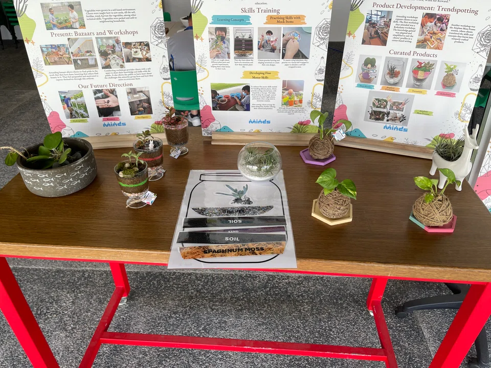 PWIDs can receive vocational training at Minds Farm to craft terrariums and develop their fine motor skills and creative expression.