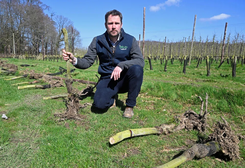 James Smith uproots apple trees at Loddington Farm, as he prepares to repurpose the land and turn it profitable.