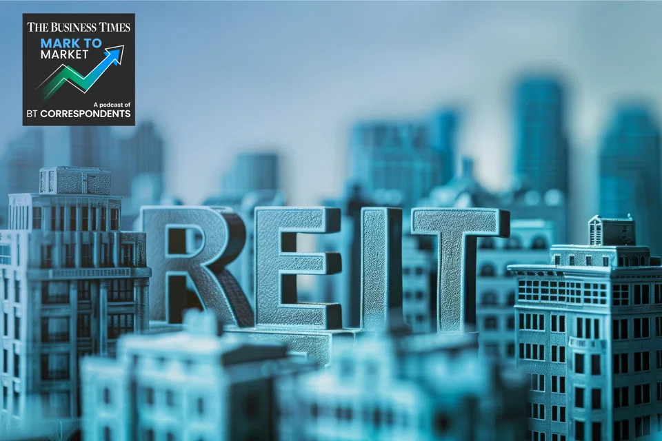 What is the future for Singapore’s Reit sector?