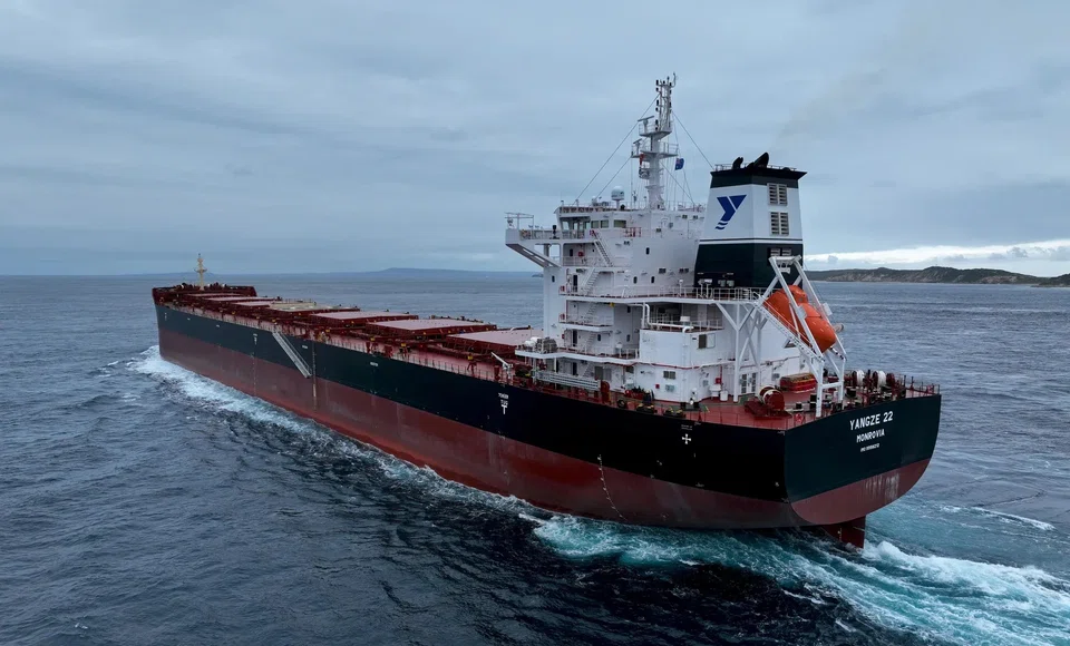 The Singapore-flagged carrier, Yangze 22, reported damage to its hull, and that nine tonnes of fuel oil were spilled due to the collision.