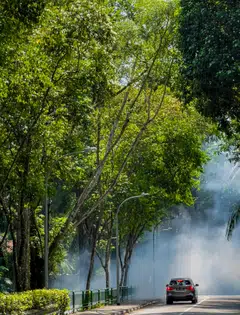 “Investor appetite for ESG funds will continue to be tested in the months ahead by an evolving regulatory landscape and mounting geopolitical tensions.," says Morningstar's Hortense Bioy.