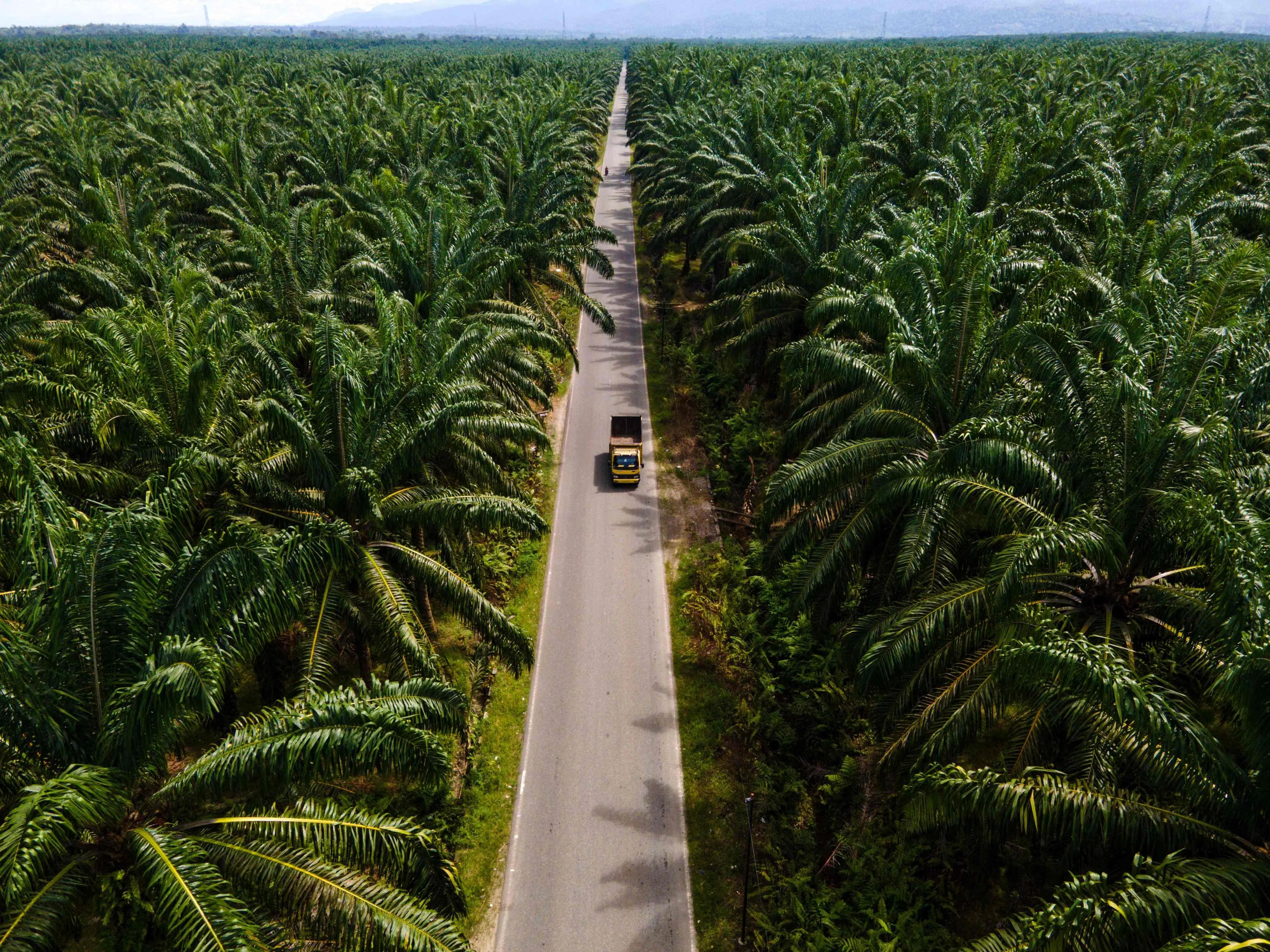Given active engagement with the regulators, Golden Agri-Resources says it is not in a position to give any indication on material impact at the moment.