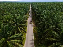 Given active engagement with the regulators, Golden Agri-Resources says it is not in a position to give any indication on material impact at the moment.