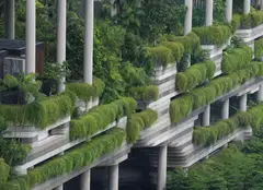 At a time of rising protectionism, pursuing open trade requires the establishment of a special green free-trade arrangement, involving sharp reductions in tariffs and non-tariff barriers on goods and services that deliver environmental and climate benefits. 