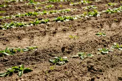 Global temperatures are rising, and climate commitments are under threat, even as war has intensified carbon emissions.