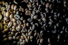 As global coffee demand remains robust and largely uninterrupted,  supply chain bottlenecks are adding to the already elevated prices.