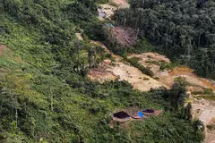 Climate change, illegal deforestation and the expansion of cattle pastures within the world’s largest rainforest could soon jeopardize the country’s agriculture production, water supply and even its ability to generate hydroelectric energy.