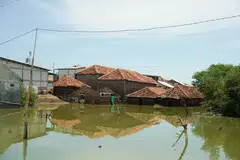 In Demak alone, three villages have been lost to rising waters in the past decade, with one completely submerged last year, forcing more than 100 families to relocate.