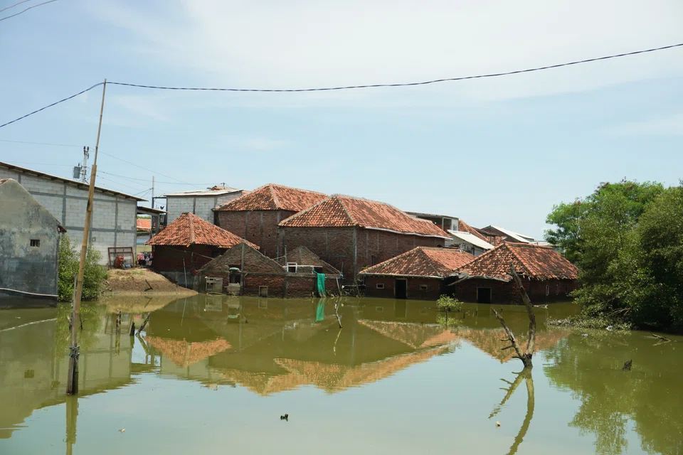 In Demak alone, three villages have been lost to rising waters in the past decade, with one completely submerged last year, forcing more than 100 families to relocate.