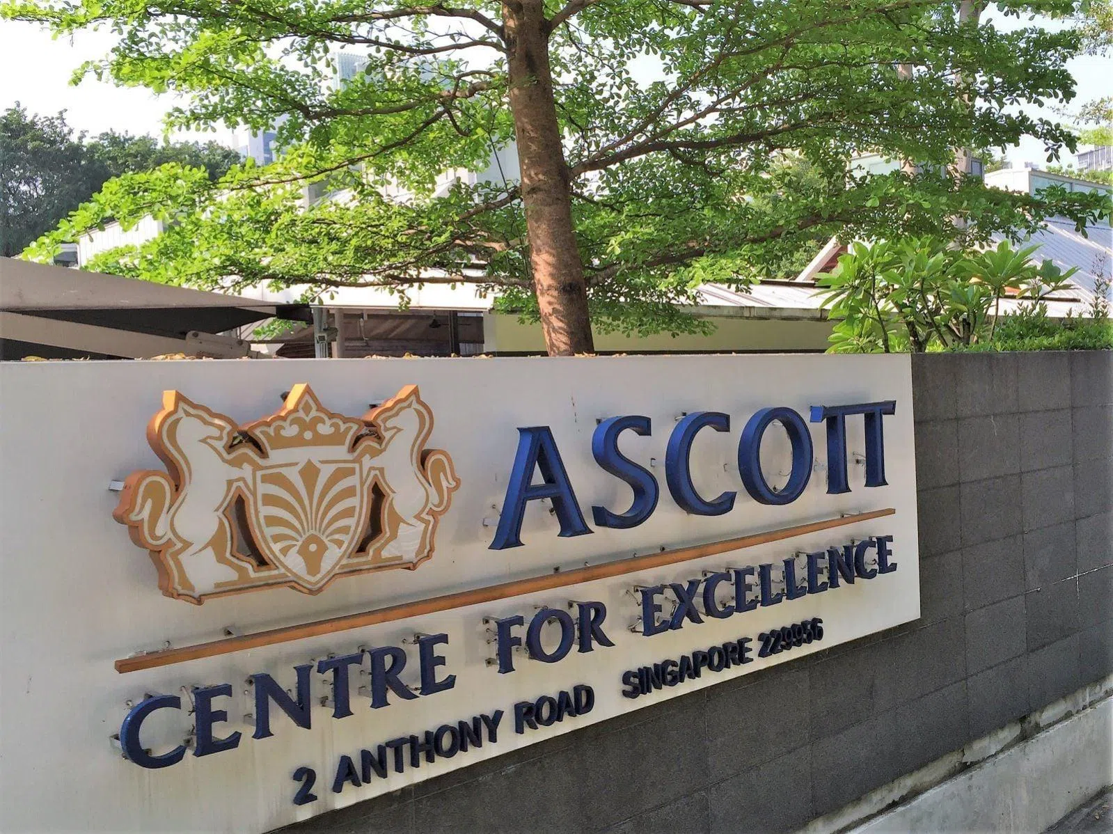 Ascott shuts Newton training centre ahead of lease expiry, lays off 6 staff