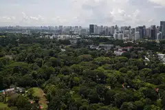 Carbon management – the process of measuring and reducing carbon emissions – has now become a key facet in corporate strategy.