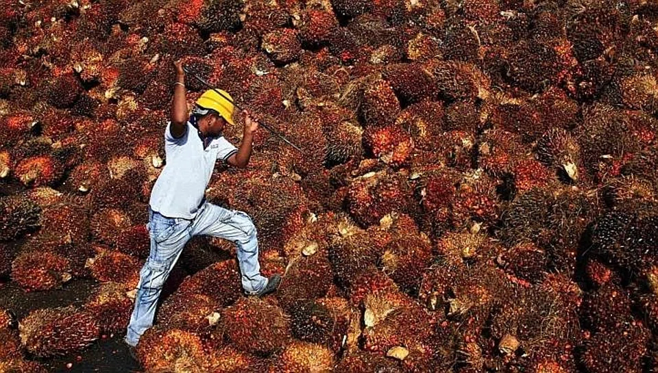 The lower court judges that previously acquitted the palm oil companies, including Wilmar, were arrested on charges of bribery.