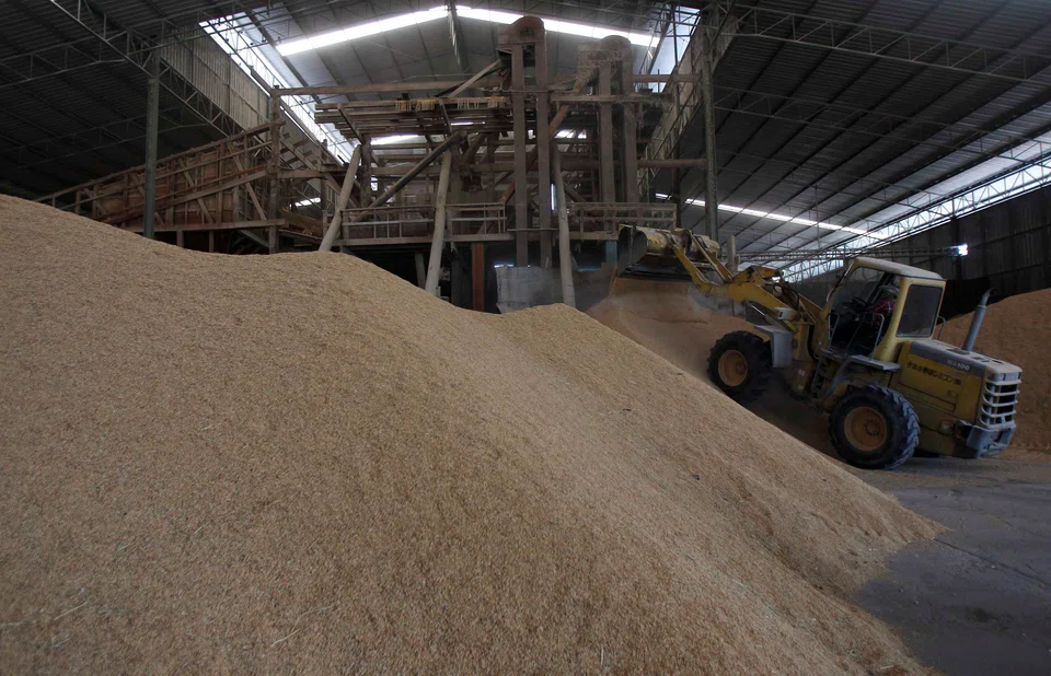 In 2025, rice shipments are projected to reach 7.88 million to 8 million tons but the volume would still be below the nearly 10 million tons recorded last year.