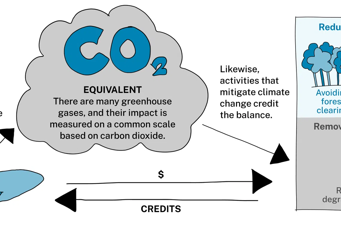 Carbon credit