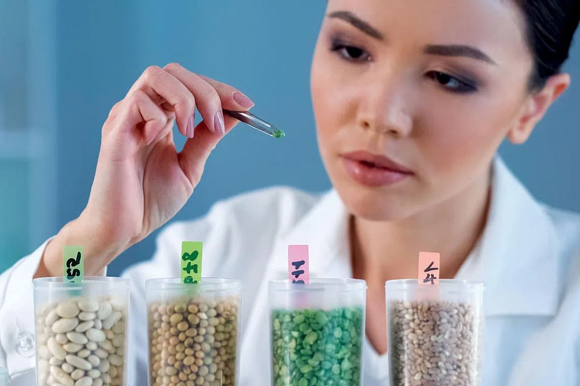 Why standards matter in the food industry