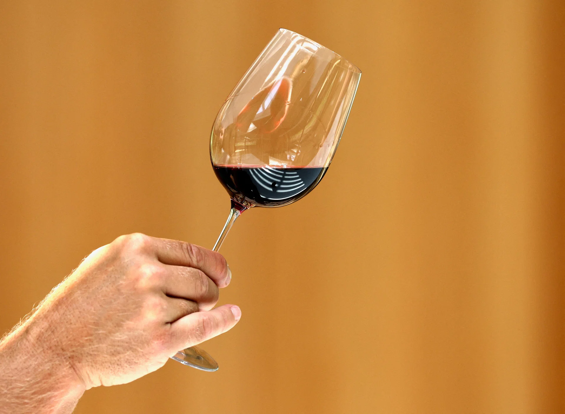 Standing up for cabernet sauvignon