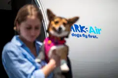 A woman holding a dog walks out of a plane during a press event introducing Bark Air, an airline for dogs, at Republic Airport in East Farmingdale, New York, May 21, 2024. 