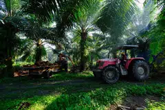 The Malaysian Palm Oil Board is scheduled to publish its monthly figures on Mar 10.
