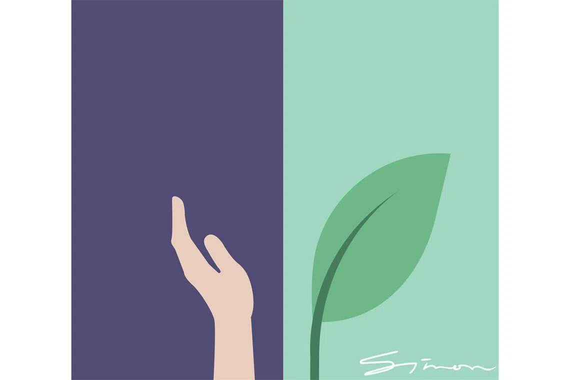 Nurturing the shoots of recovery