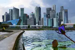 The Alpha Picks portfolio's month-on-month increase for January, of 6.9 per cent and 6.1 per cent on a price-weighted and market cap-weighted basis, respectively, surpassed the Straits Times Index's 5.6 per cent gain. 