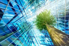 South-east Asia’s reliance on climate-sensitive sectors and rapid urbanisation makes it particularly vulnerable to the effects of climate change. 