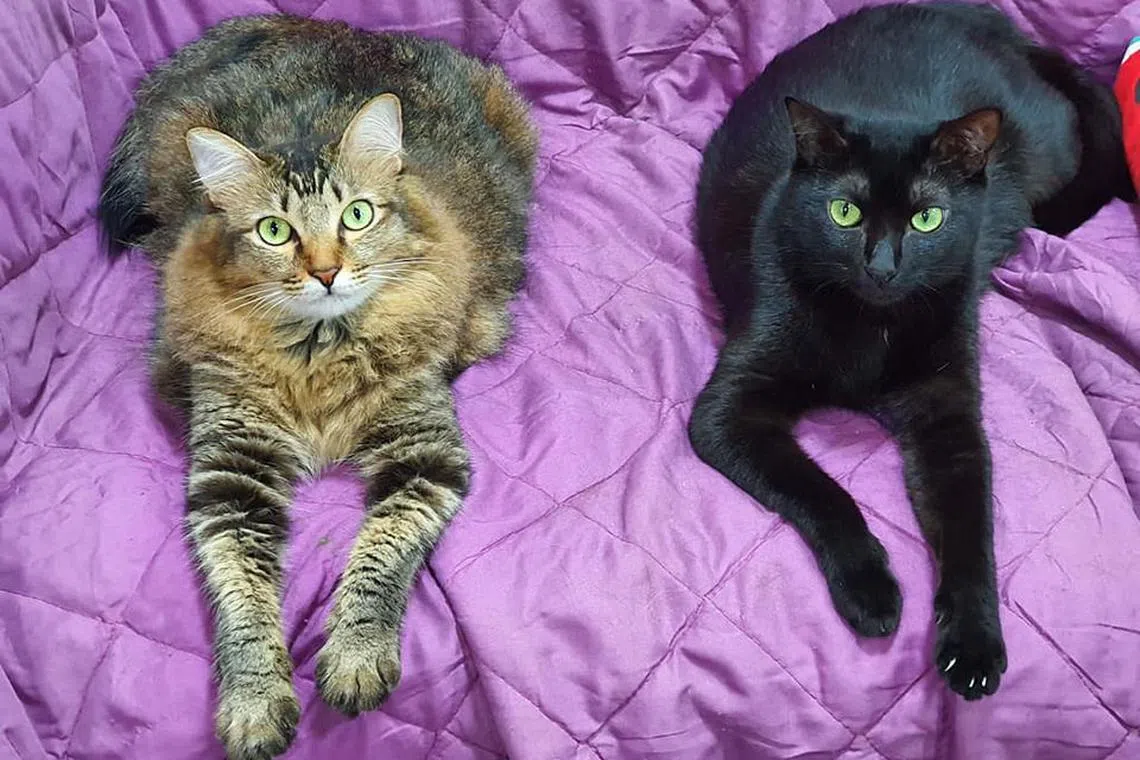 Empathy, purpose and hope: Giving strengthens society